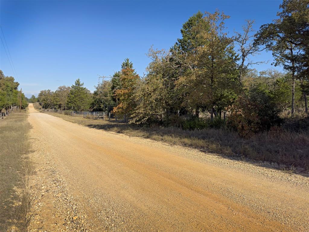 10429 County Road 313, Caldwell, Texas image 6