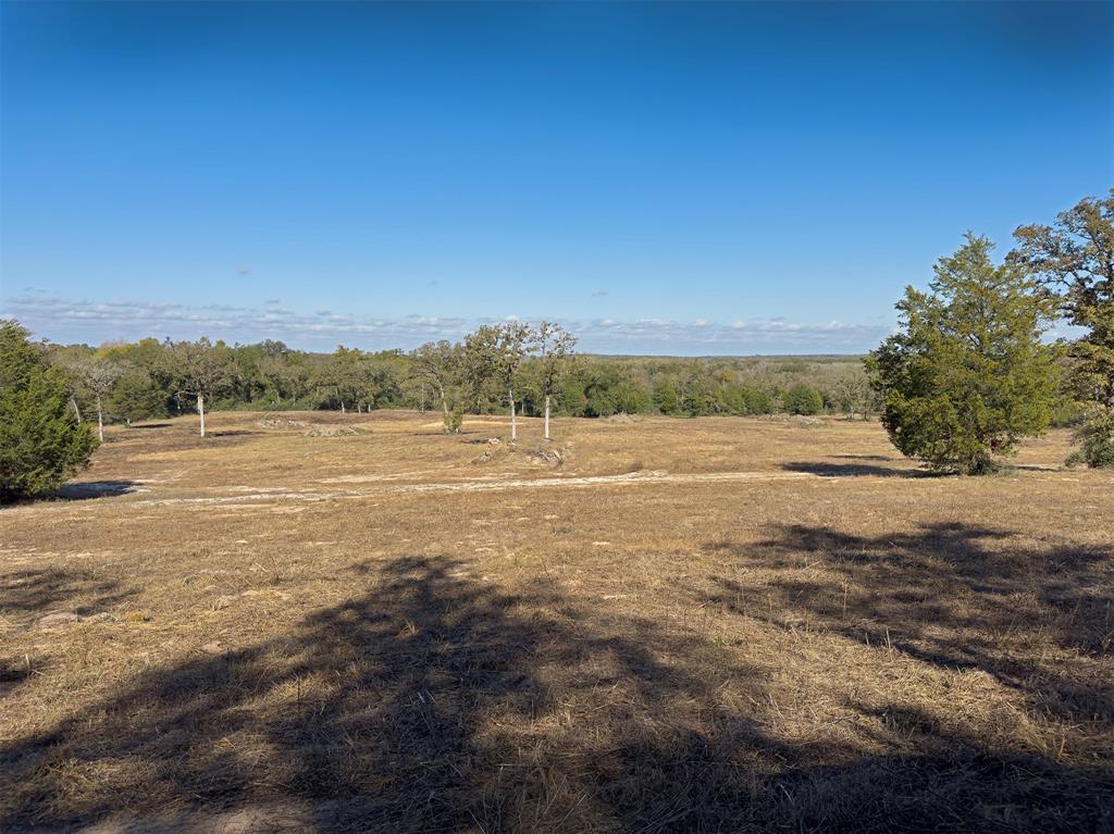 10429 County Road 313, Caldwell, Texas image 2