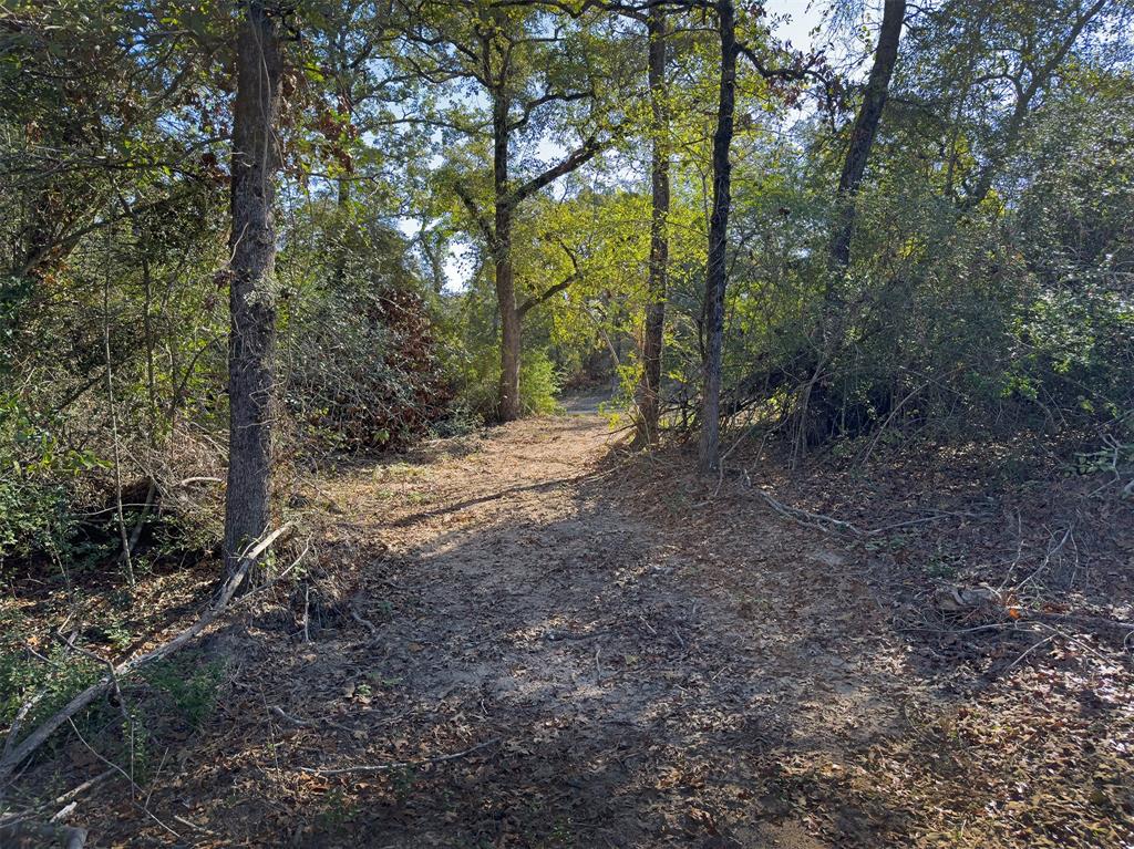 10429 County Road 313, Caldwell, Texas image 8