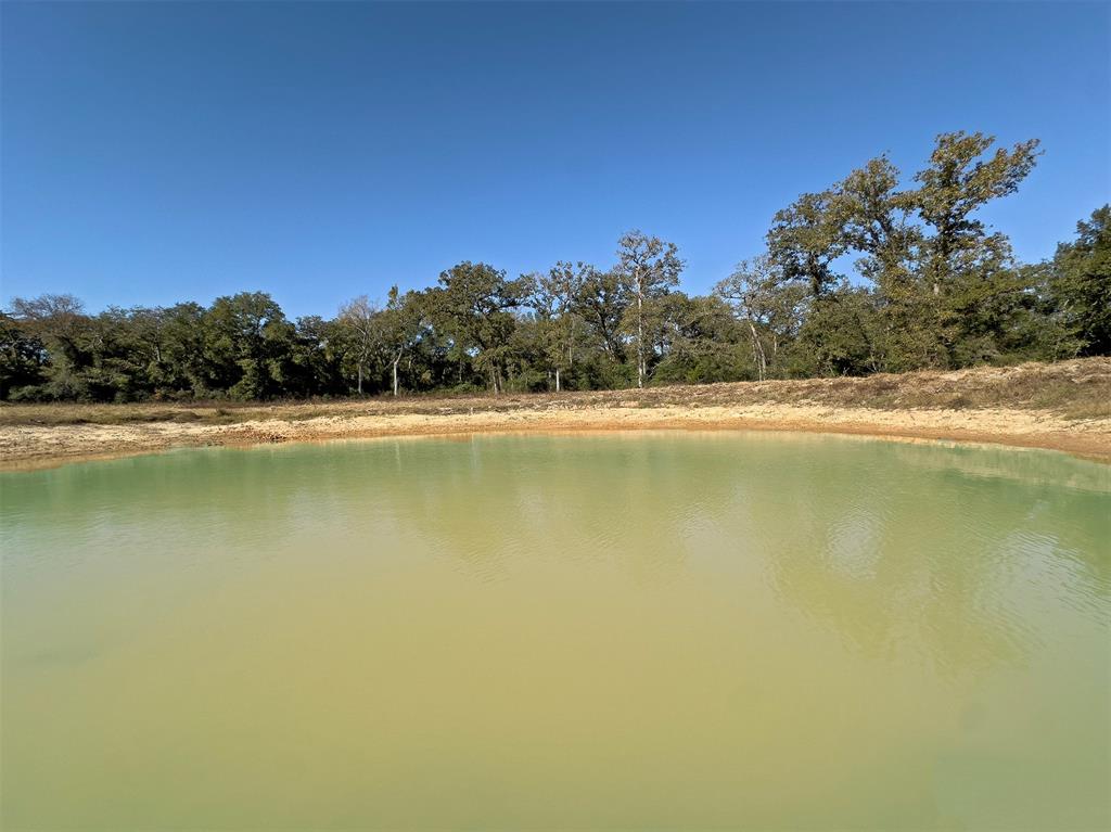 10429 County Road 313, Caldwell, Texas image 3