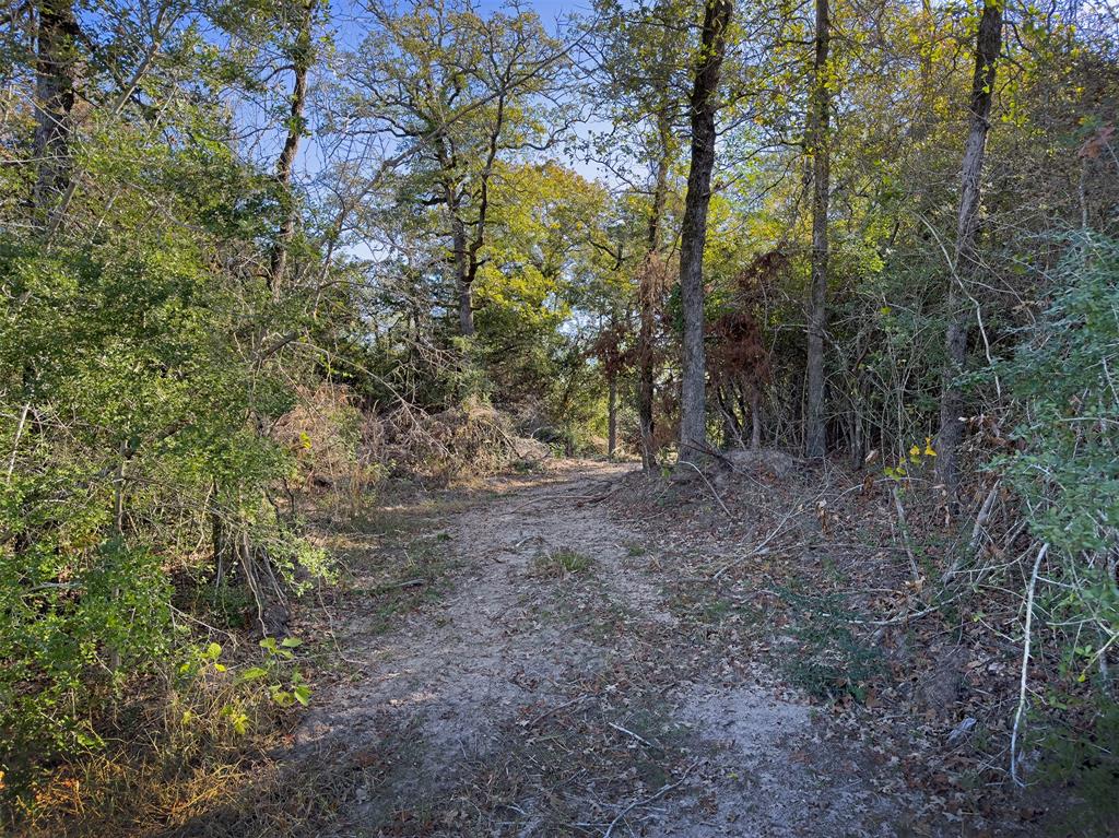 10429 County Road 313, Caldwell, Texas image 15