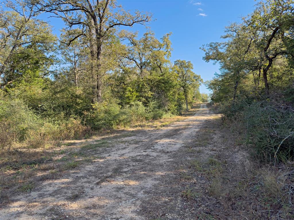 10429 County Road 313, Caldwell, Texas image 13