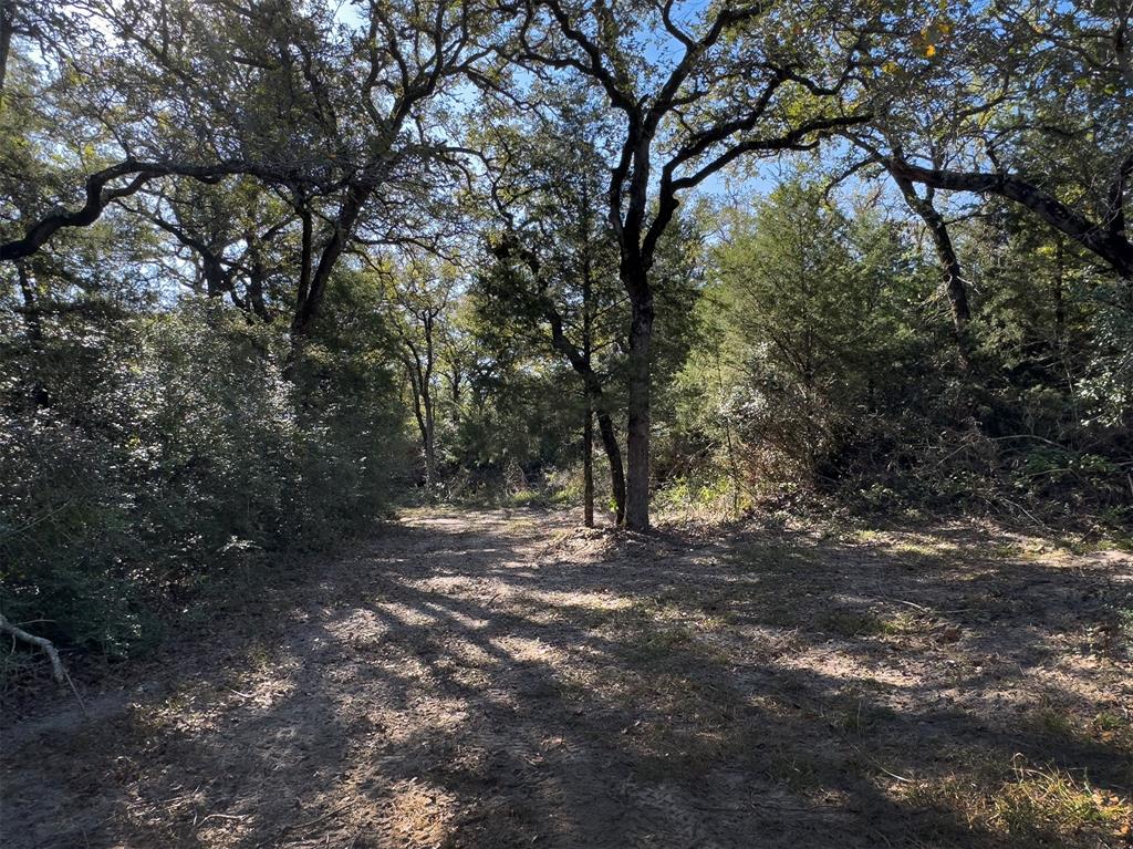 10429 County Road 313, Caldwell, Texas image 7