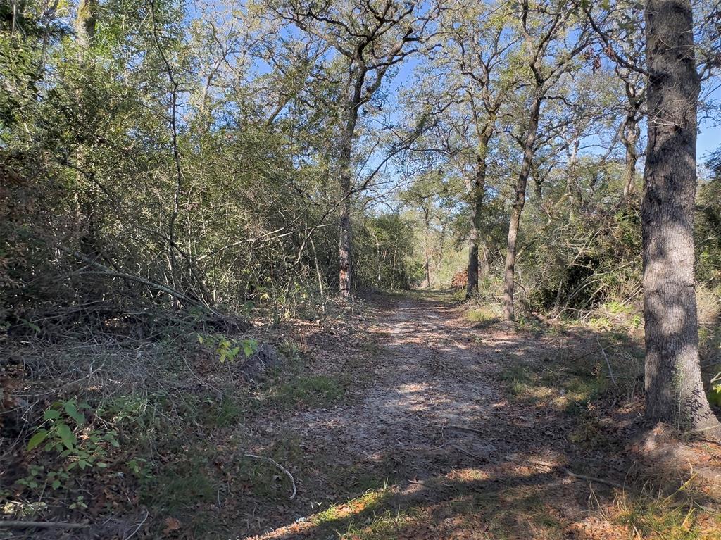 10429 County Road 313, Caldwell, Texas image 14