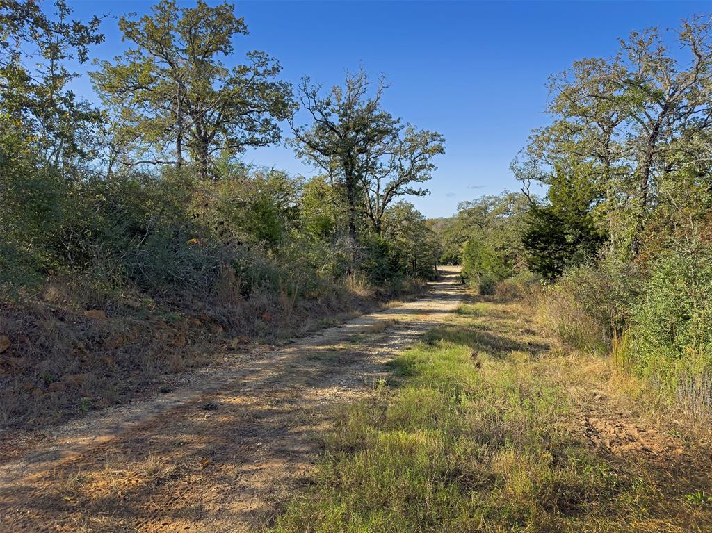 10429 County Road 313, Caldwell, Texas image 5