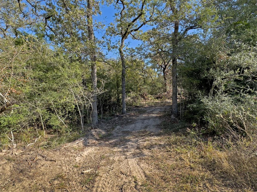 10429 County Road 313, Caldwell, Texas image 17