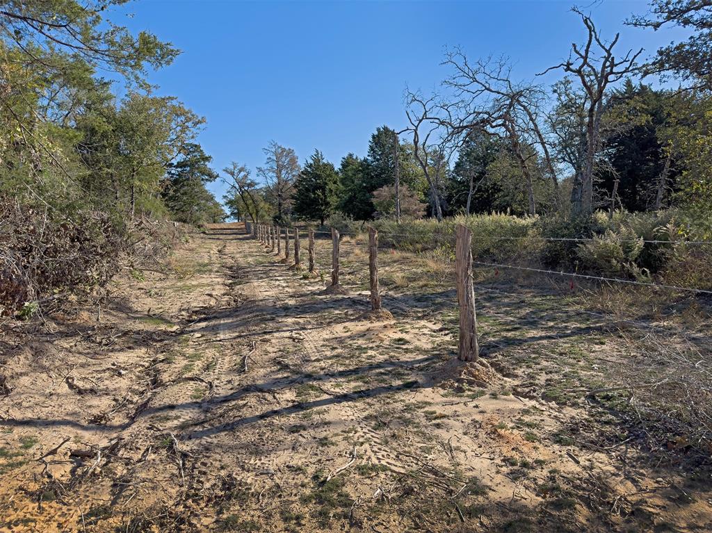 10429 County Road 313, Caldwell, Texas image 4