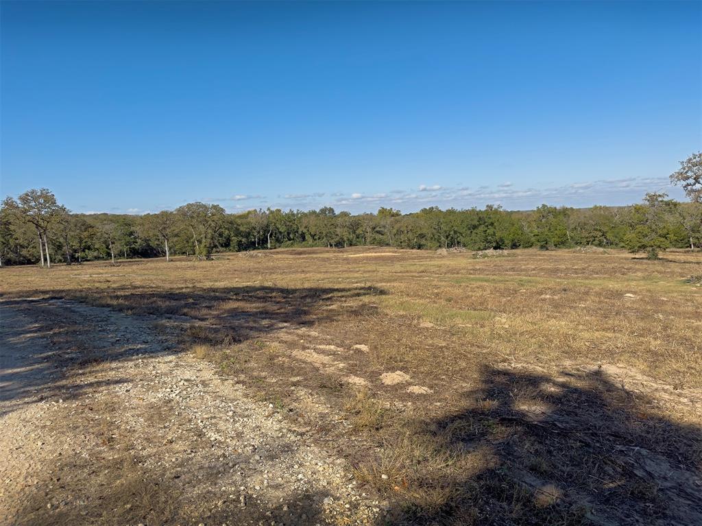 10429 County Road 313, Caldwell, Texas image 9