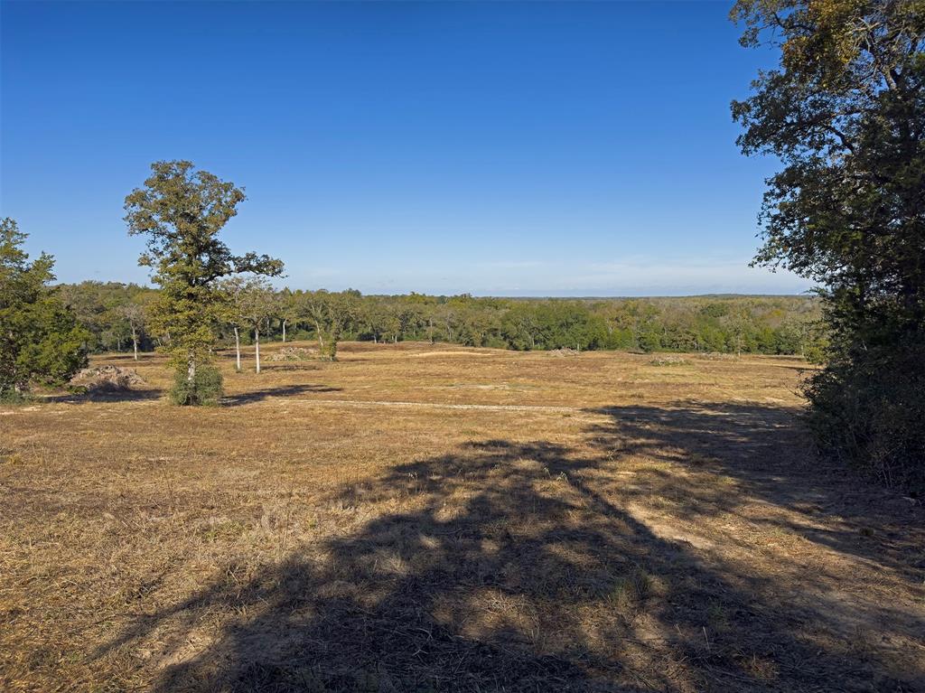 10429 County Road 313, Caldwell, Texas image 16