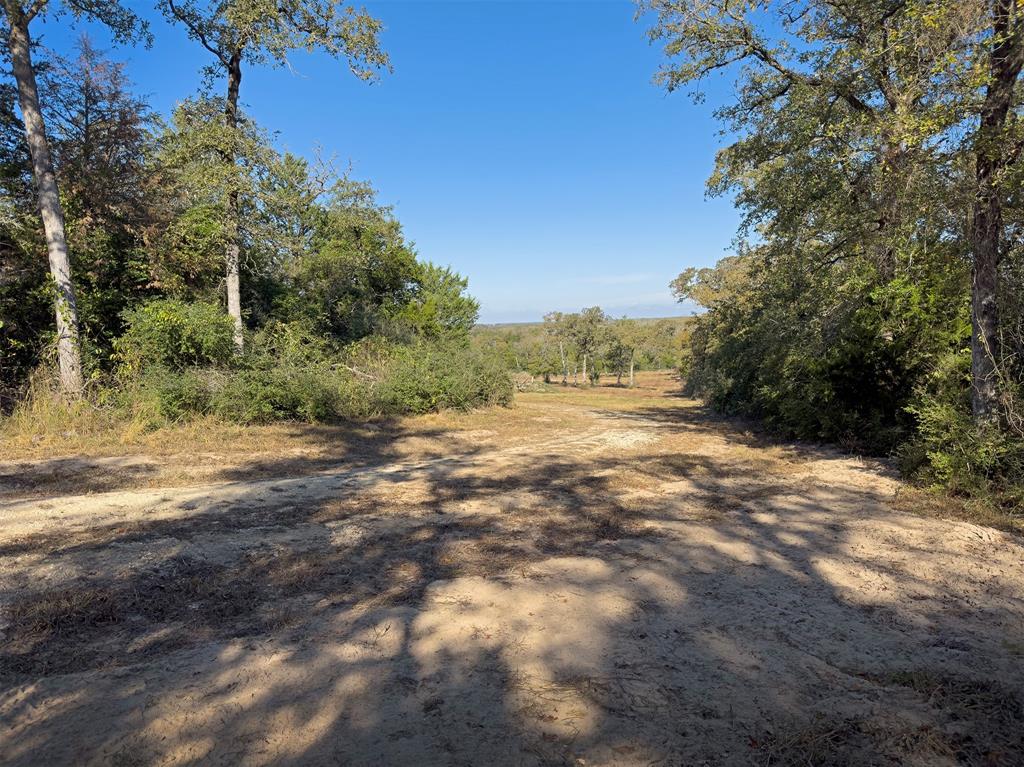 10429 County Road 313, Caldwell, Texas image 10