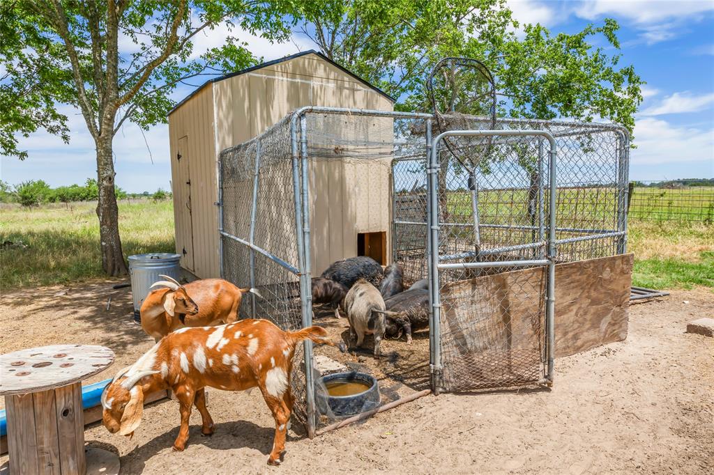 5169 Mike Poe Drive, Bedias, Texas image 26