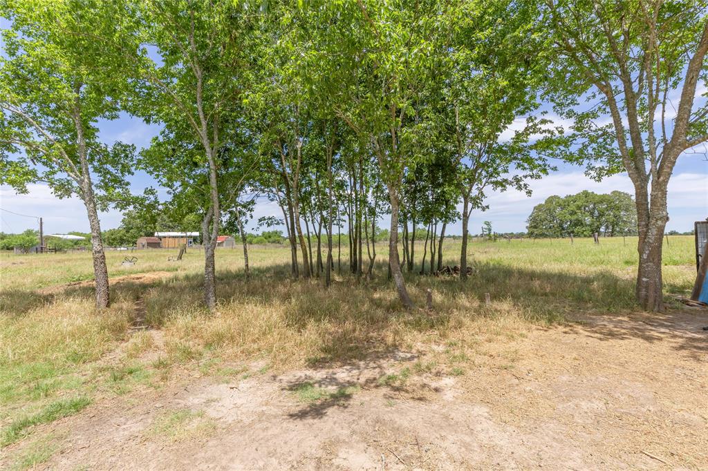 5169 Mike Poe Drive, Bedias, Texas image 27