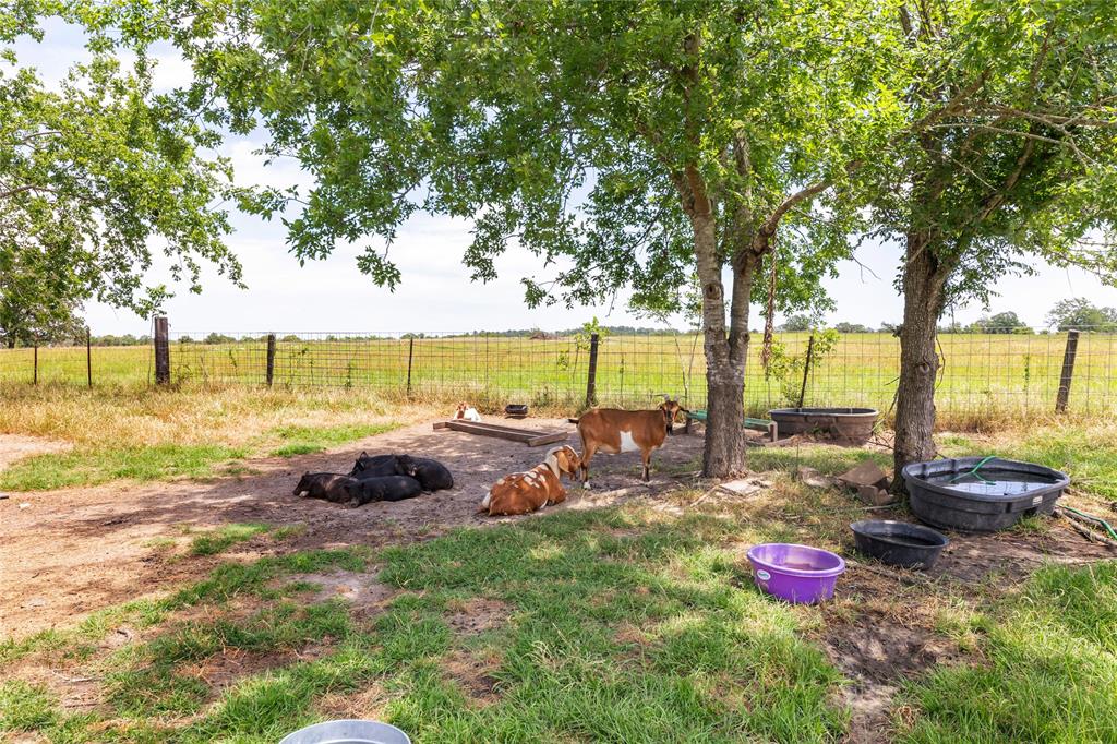 5169 Mike Poe Drive, Bedias, Texas image 23