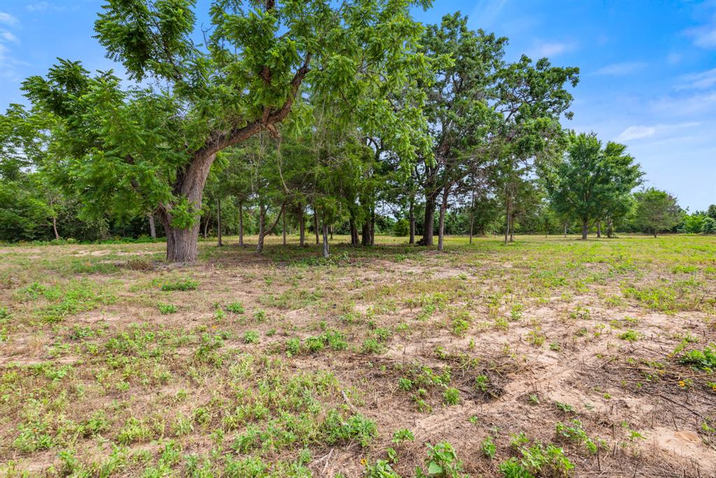 167 Signal Street, Somerville, Texas image 2