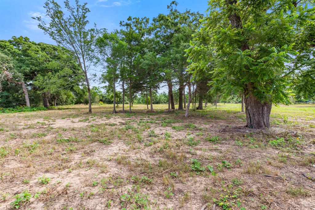 167 Signal Street, Somerville, Texas image 1
