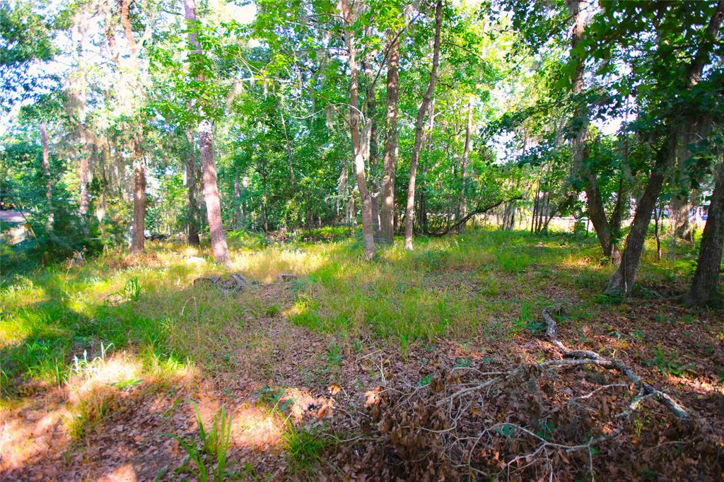 22 Walnut Point Drive, Coldspring, Texas image 4