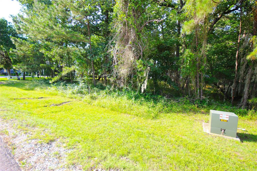 22 Walnut Point Drive, Coldspring, Texas image 6