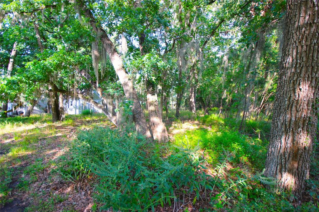 22 Walnut Point Drive, Coldspring, Texas image 5