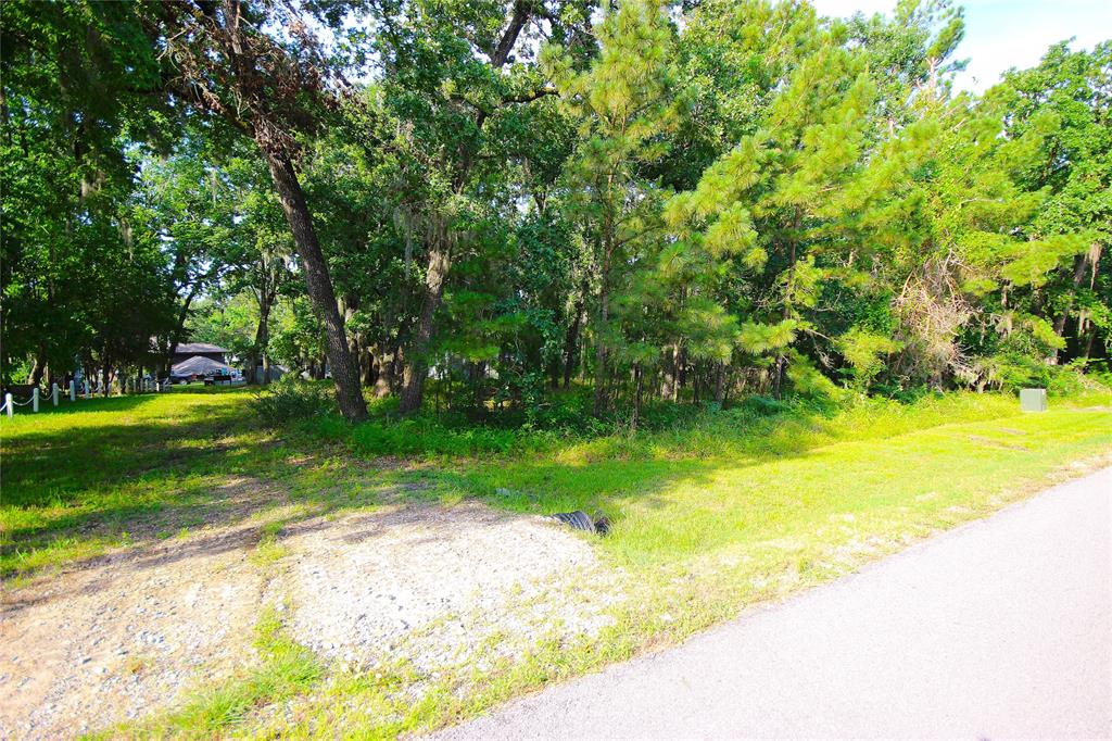 22 Walnut Point Drive, Coldspring, Texas image 2