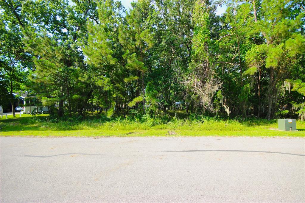 22 Walnut Point Drive, Coldspring, Texas image 7