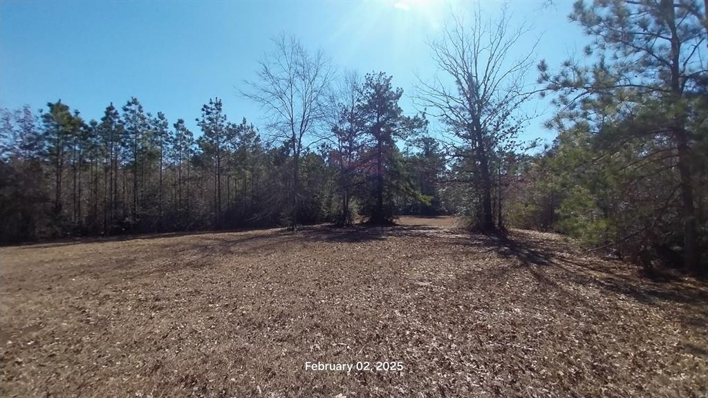 Chambers Road, Zavalla, Texas image 8