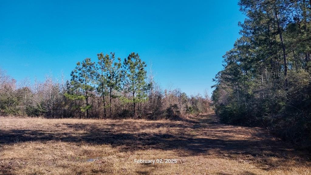 Chambers Road, Zavalla, Texas image 9