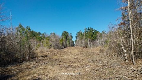 Vacant Land For Sale - Chambers Road<br/> Zavalla, TX 75980