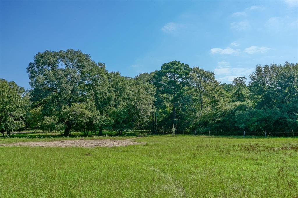 31104 Courtney Rd, Navasota, Texas image 5