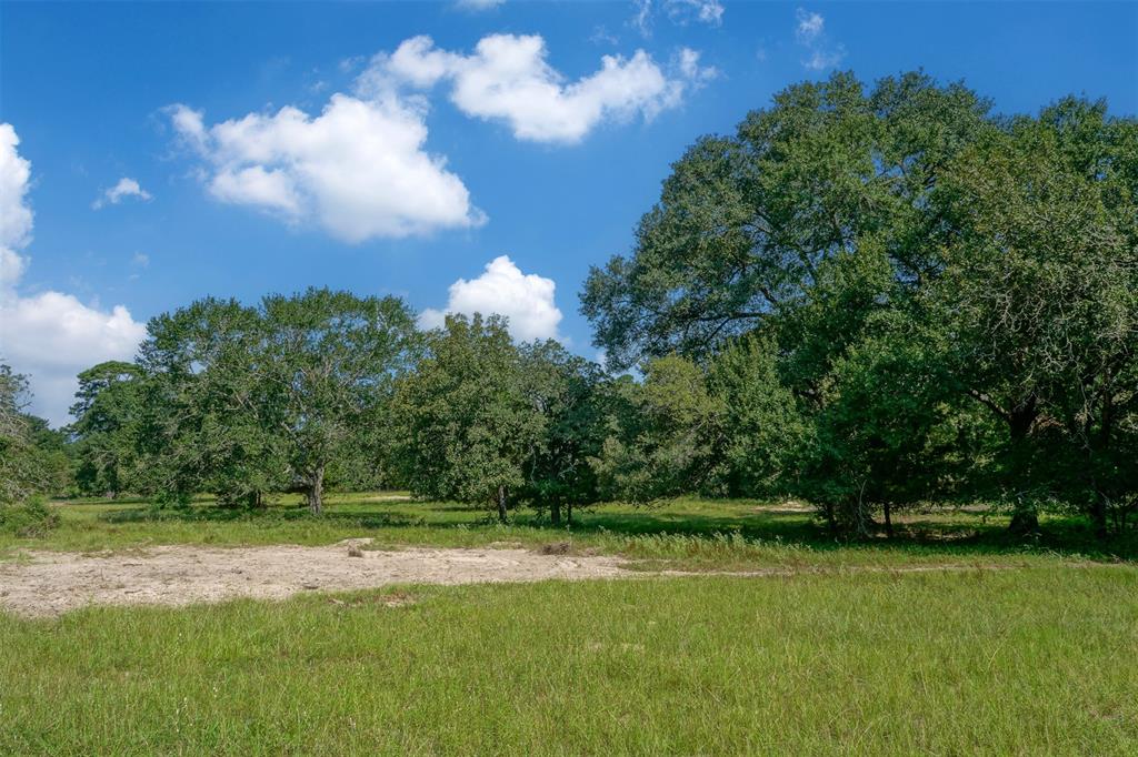 31104 Courtney Rd, Navasota, Texas image 8
