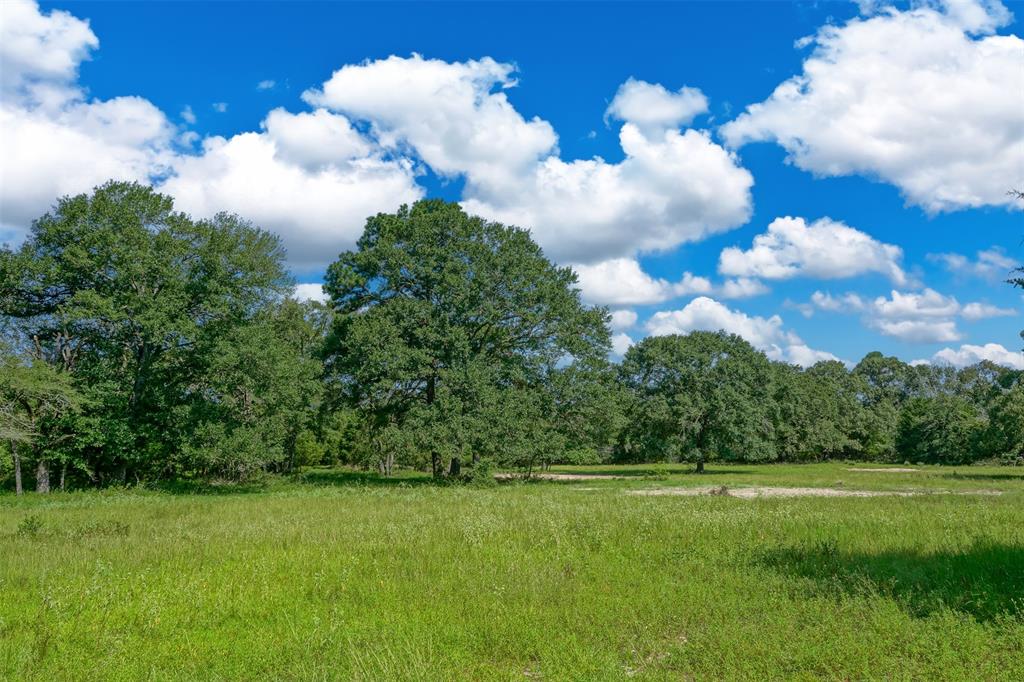 31104 Courtney Rd, Navasota, Texas image 4