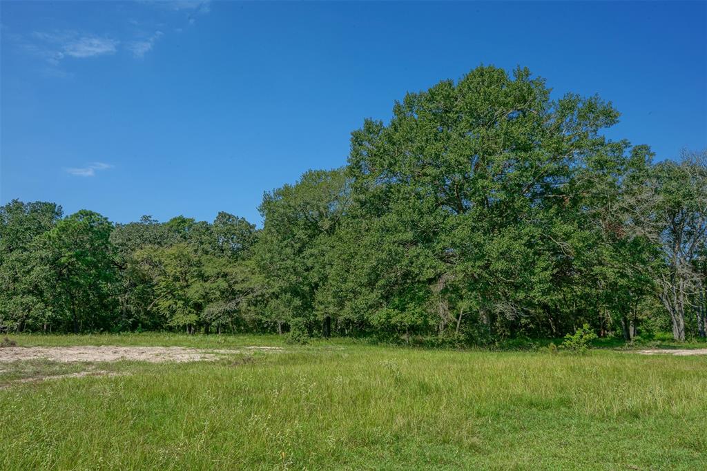 31104 Courtney Rd, Navasota, Texas image 2