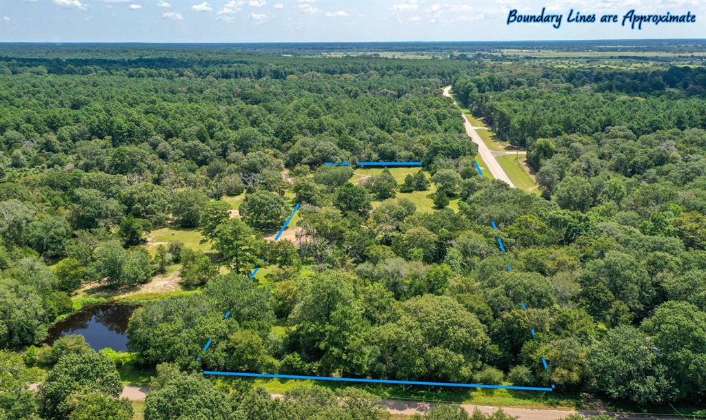 31104 Courtney Rd, Navasota, Texas image 9
