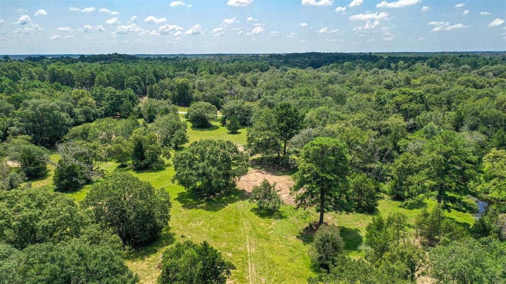 31104 Courtney Rd, Navasota, Texas image 7