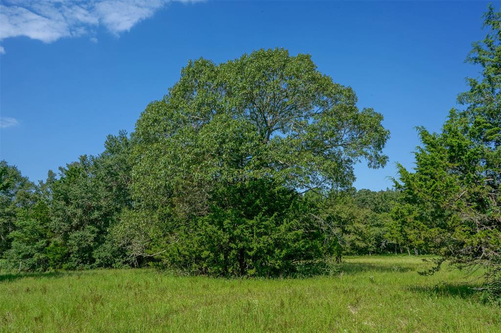 31104 Courtney Rd, Navasota, Texas image 12