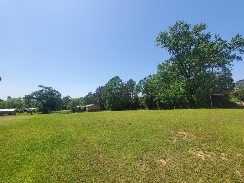 16980 Main Drive, Willis, Texas image 33