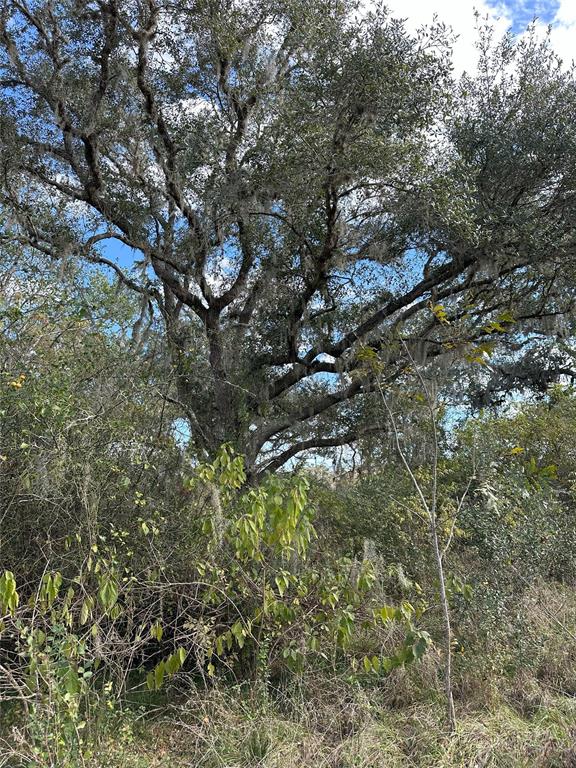 Cr-255, Damon, Texas image 7