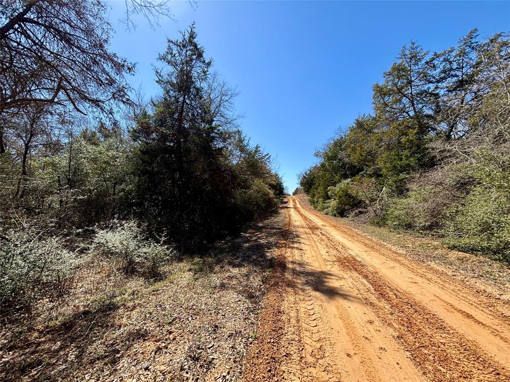 TBD Burgandy Drive, Normangee, Texas image 4