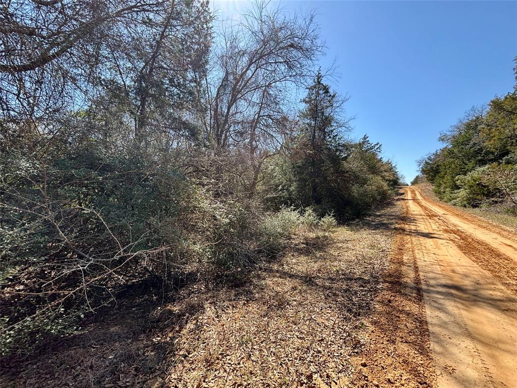 TBD Burgandy Drive, Normangee, Texas image 8