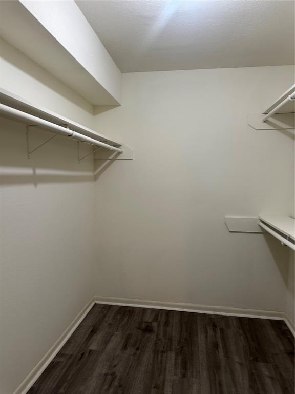17401 Red Oak Drive #61, Houston, Texas image 24
