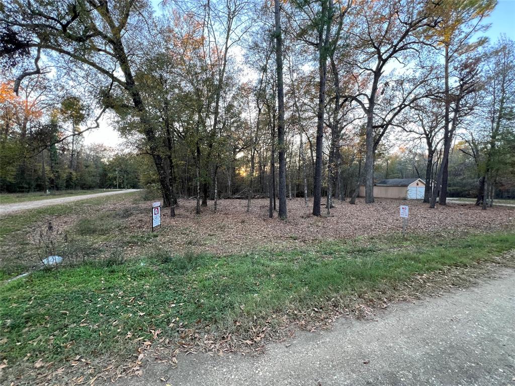 Mossy Drive, Livingston, Texas image 5