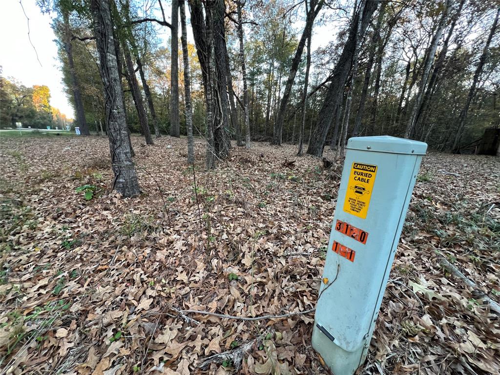 Mossy Drive, Livingston, Texas image 7