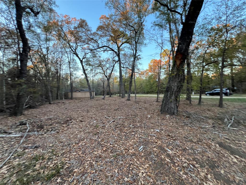 Mossy Drive, Livingston, Texas image 13