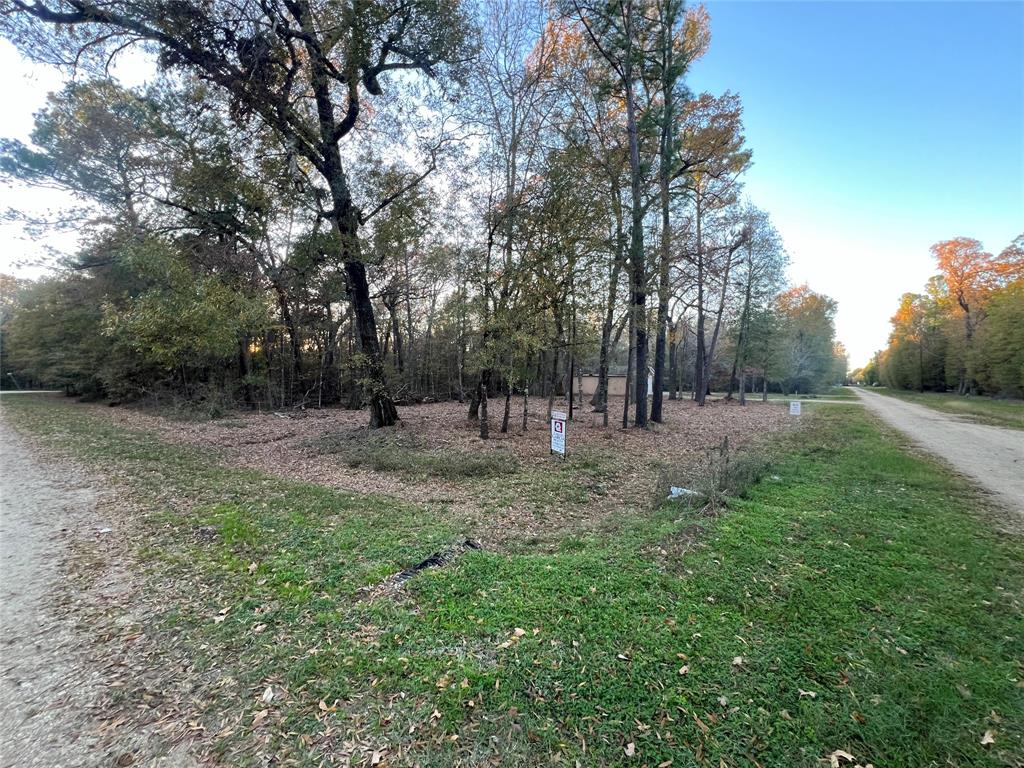 Mossy Drive, Livingston, Texas image 1
