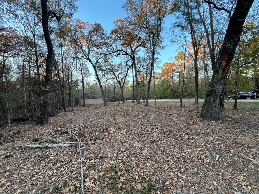 Mossy Drive, Livingston, Texas image 12