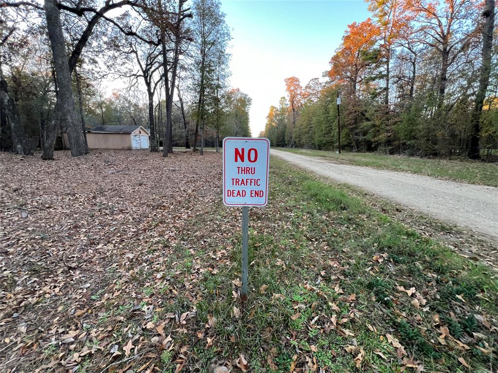 Mossy Drive, Livingston, Texas image 15