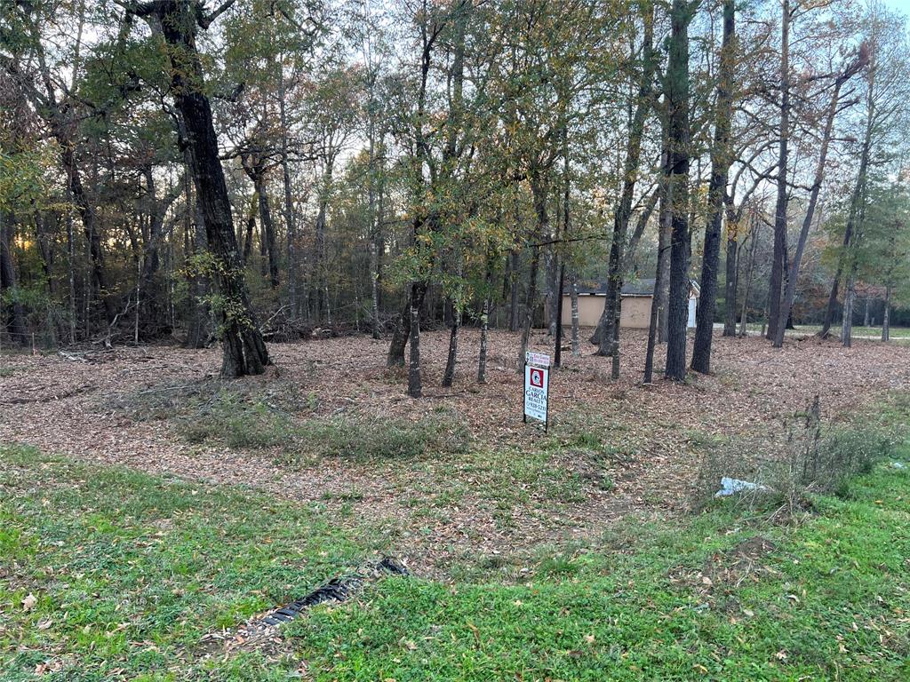 Mossy Drive, Livingston, Texas image 2