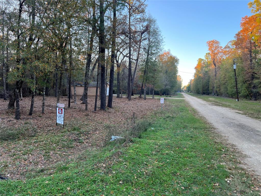 Mossy Drive, Livingston, Texas image 3