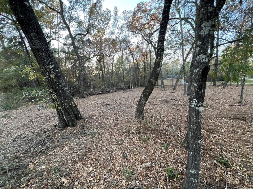 Mossy Drive, Livingston, Texas image 10