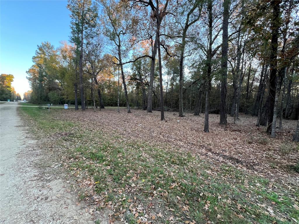 Mossy Drive, Livingston, Texas image 6