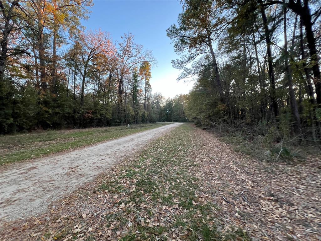 Mossy Drive, Livingston, Texas image 16